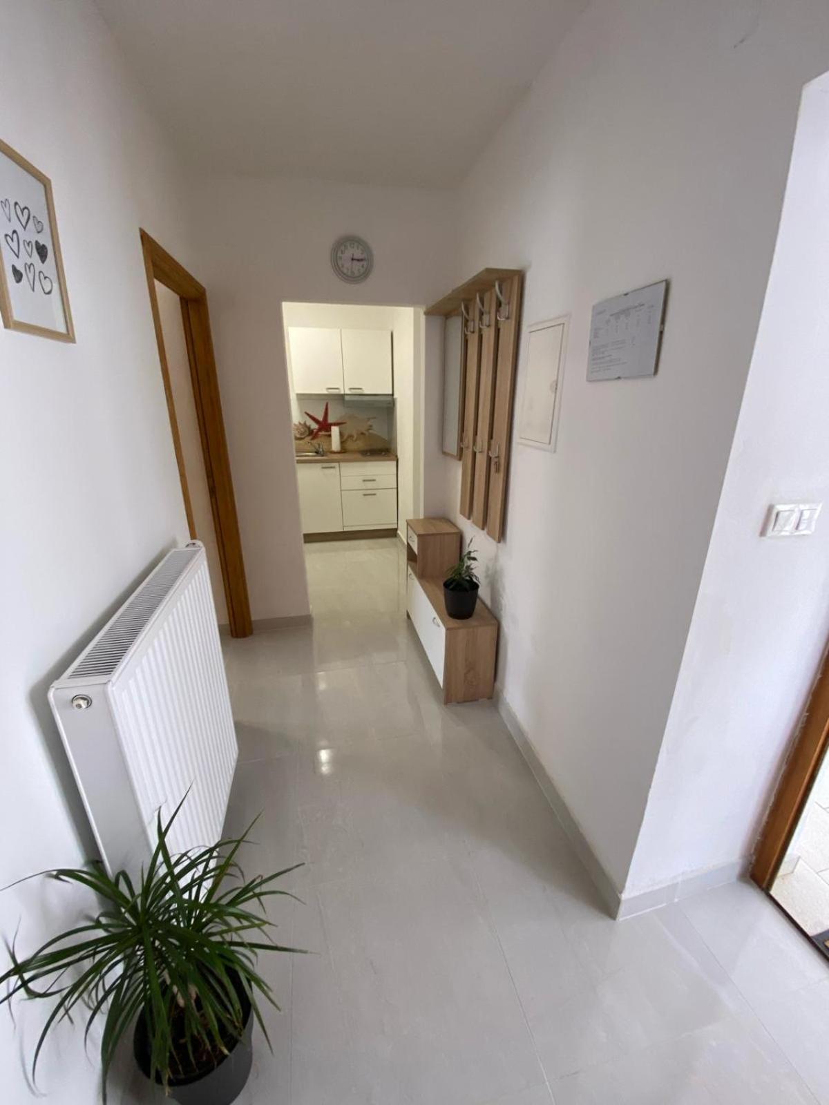 Apartmani Radosav Сило Экстерьер фото
